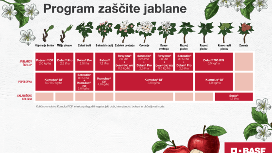 Program varstva Jabolk 