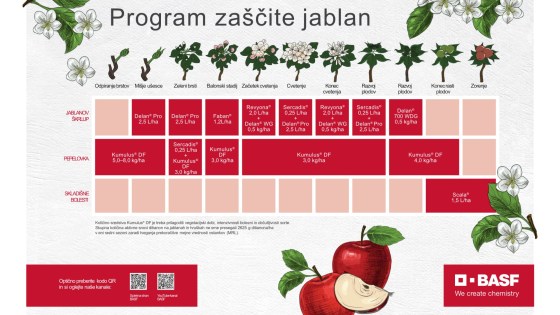 Program varstva Jabolk 